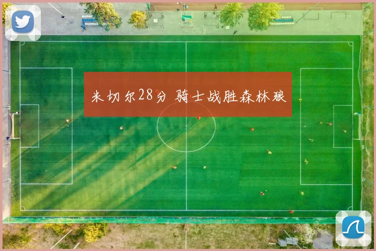 米切尔28分 骑士战胜森林狼